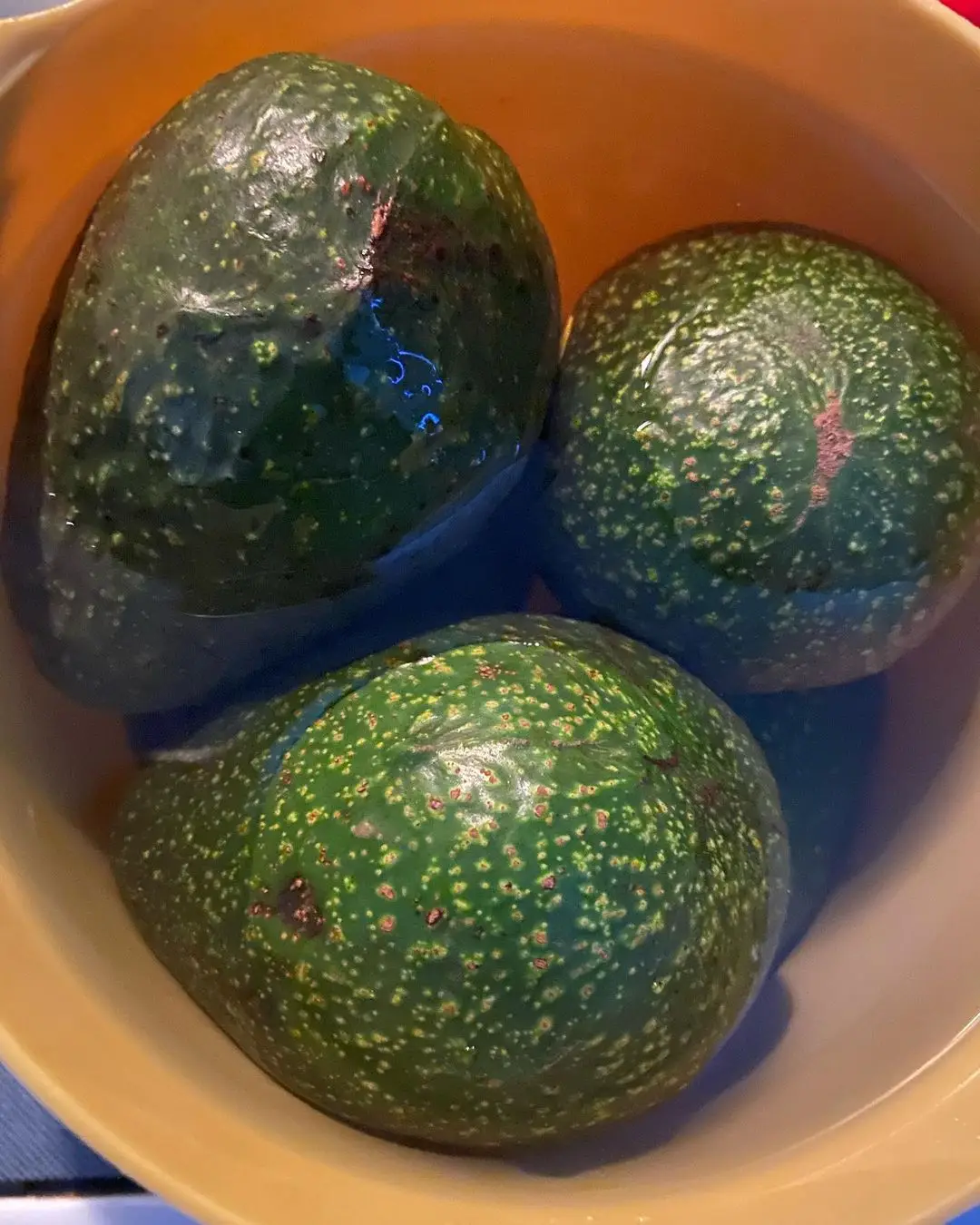 Авокадо, свежий поставщик высокого качества, лучшие органические фрукты