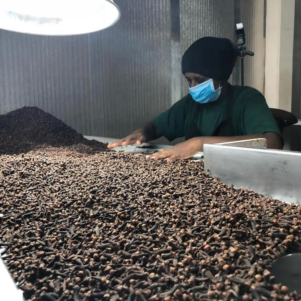 High quality Vietnamese seasoning dried cloves for food flavor wholesale organic cloves