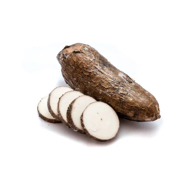 High Quality Vietnamese Tapioca from Nature helps to nourish the body and make snacks