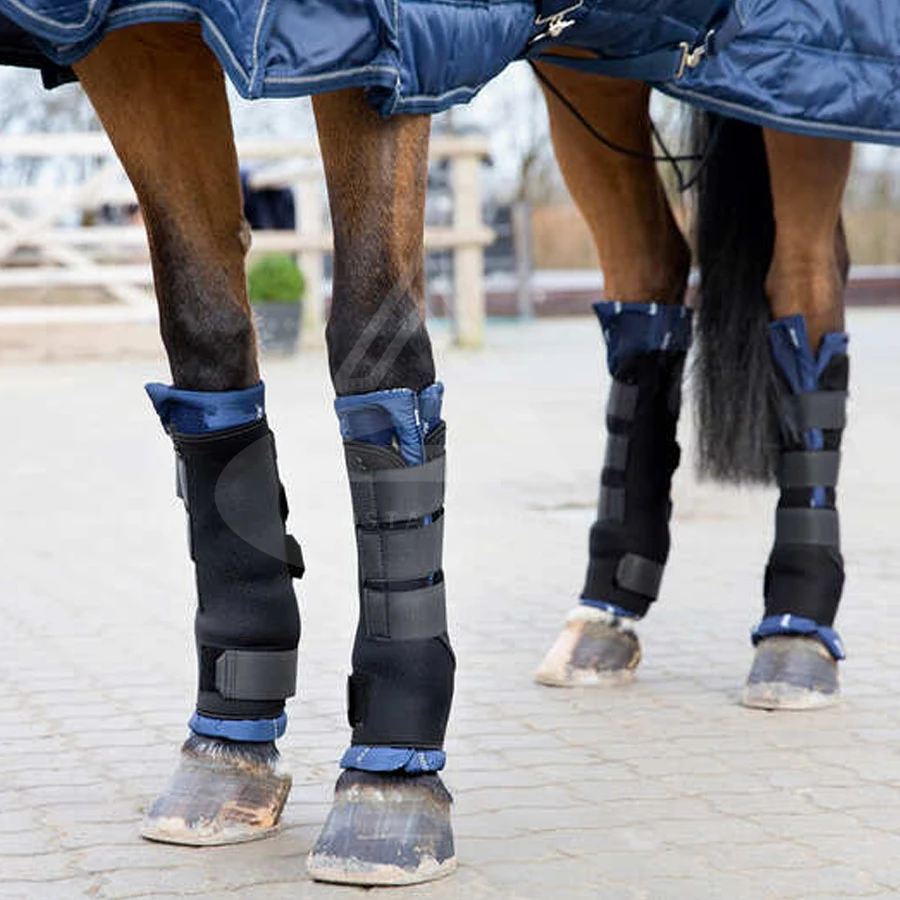 Hot Selling Best Design Horse Travelling Boots Made With Polyester Material And Mesh Chaps For Sale