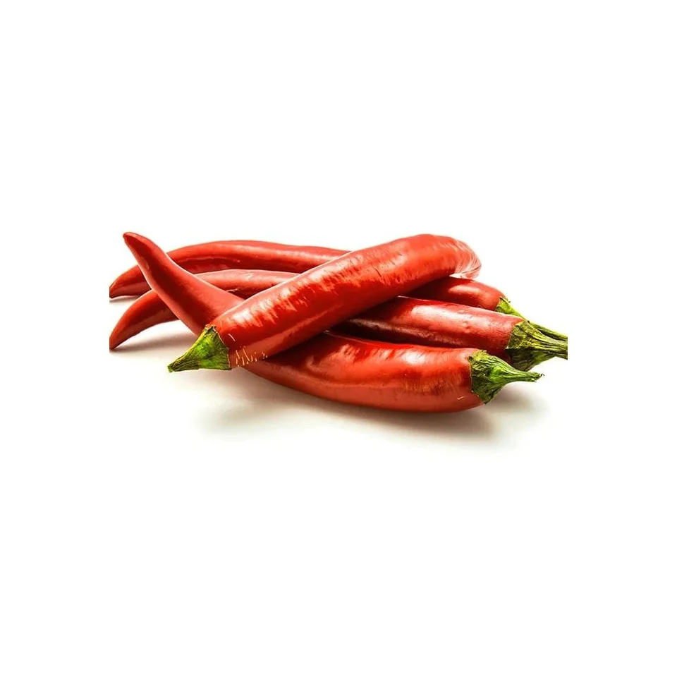 Большой запас, супер горячий свежий красный перец из Вьетнама, надежный поставщик, наши продукты изготовлены из Вьетнамского стандарта зазора