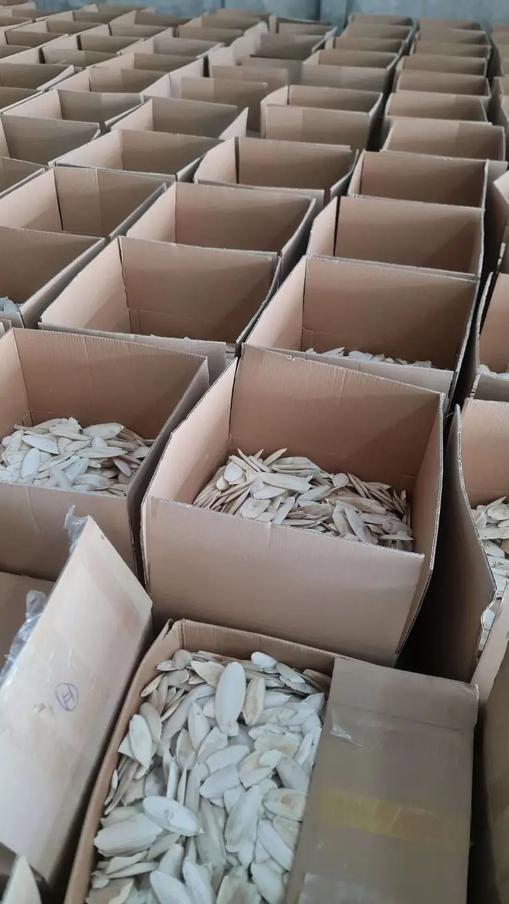 BEST PRICE I A special gift for your birds - Natural Cuttlefish Bone/Dried Cuttlebone From Vietnam/Ms.Thi +84 988 872 713