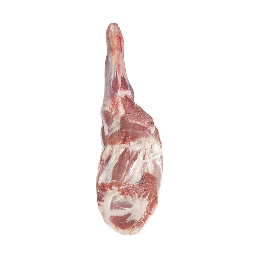Top Grade HALAL FRESH FROZEN BEEF LEG BONE HIND BULK VACUUM PACKED EXPORT READY FOR SALE
