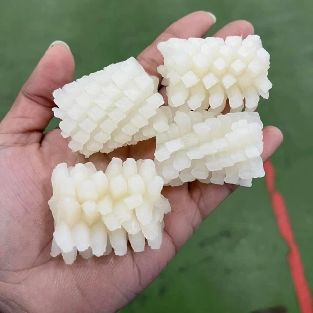 Fresh Frozen squid large pieces fresh squid from the pier before freezing Cheap price 1 Box weight 11 KG