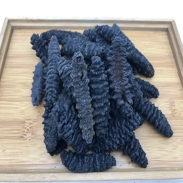In Stock Dried Sea Cucumber Seafood Bulk Ready for Export Buy Now Wholesale Supplier Cheap Price