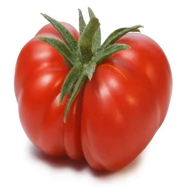 Wholesale Fresh Beef Tomatoes, Cherry Tomatoes, Fresh Plum Tomatoes 2024 New Harvest