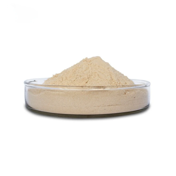 Food Enzyme Protease Food Grade Factory Supply Food Additives Enzyme Neutral Protease Powder