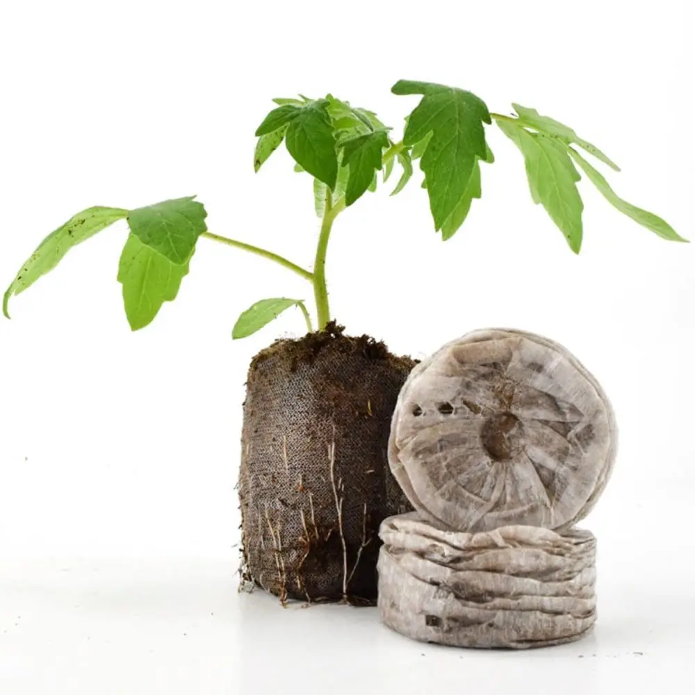 Вьетнамская Заводская партия 5 кг торфяные блоки для продажи (whatsapp 0084587176063 Sandy)