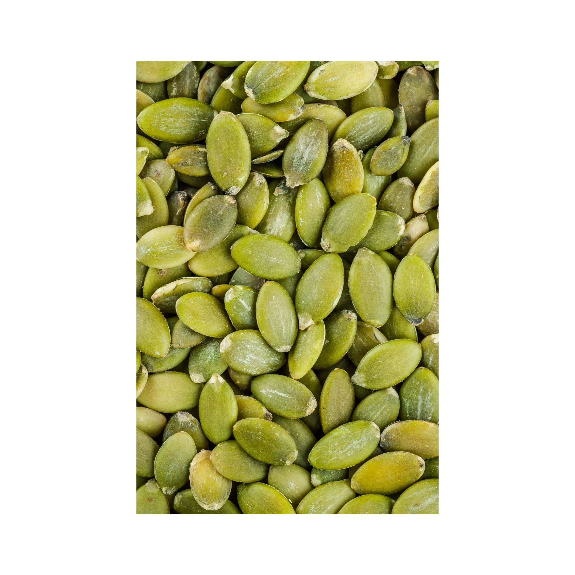 Snow White Shine Skin Pumpkin Seeds Kernels Raw Herb Spice Powder Export Quality Dried Cinnamon Processed