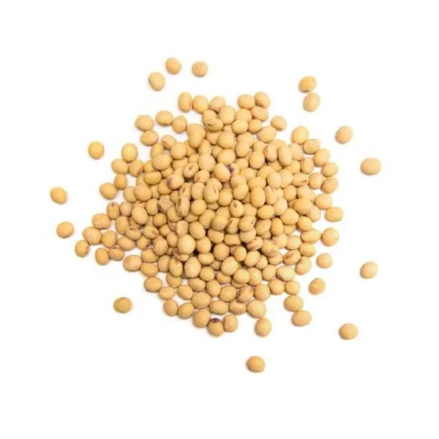 Горячая распродажа оптовая цена новый урожай GMO и Non соя/соя