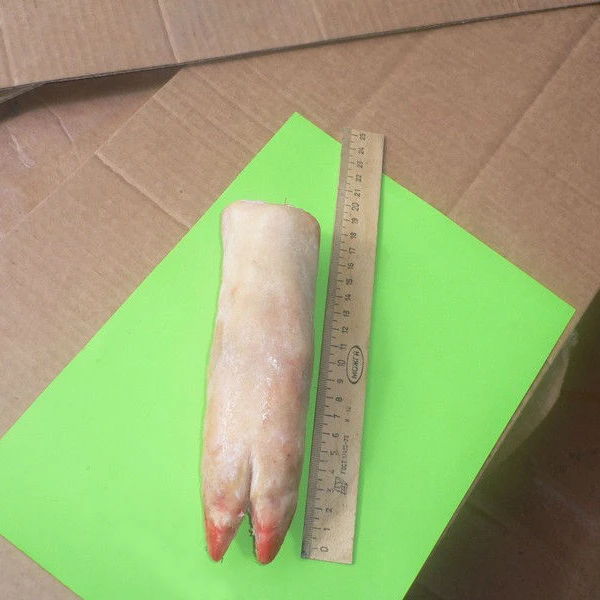 HIGH QUALITY FROZEN PORK / PIG FEET / LEG / MEAT BRAZIL ORIGIN Available for Shipment