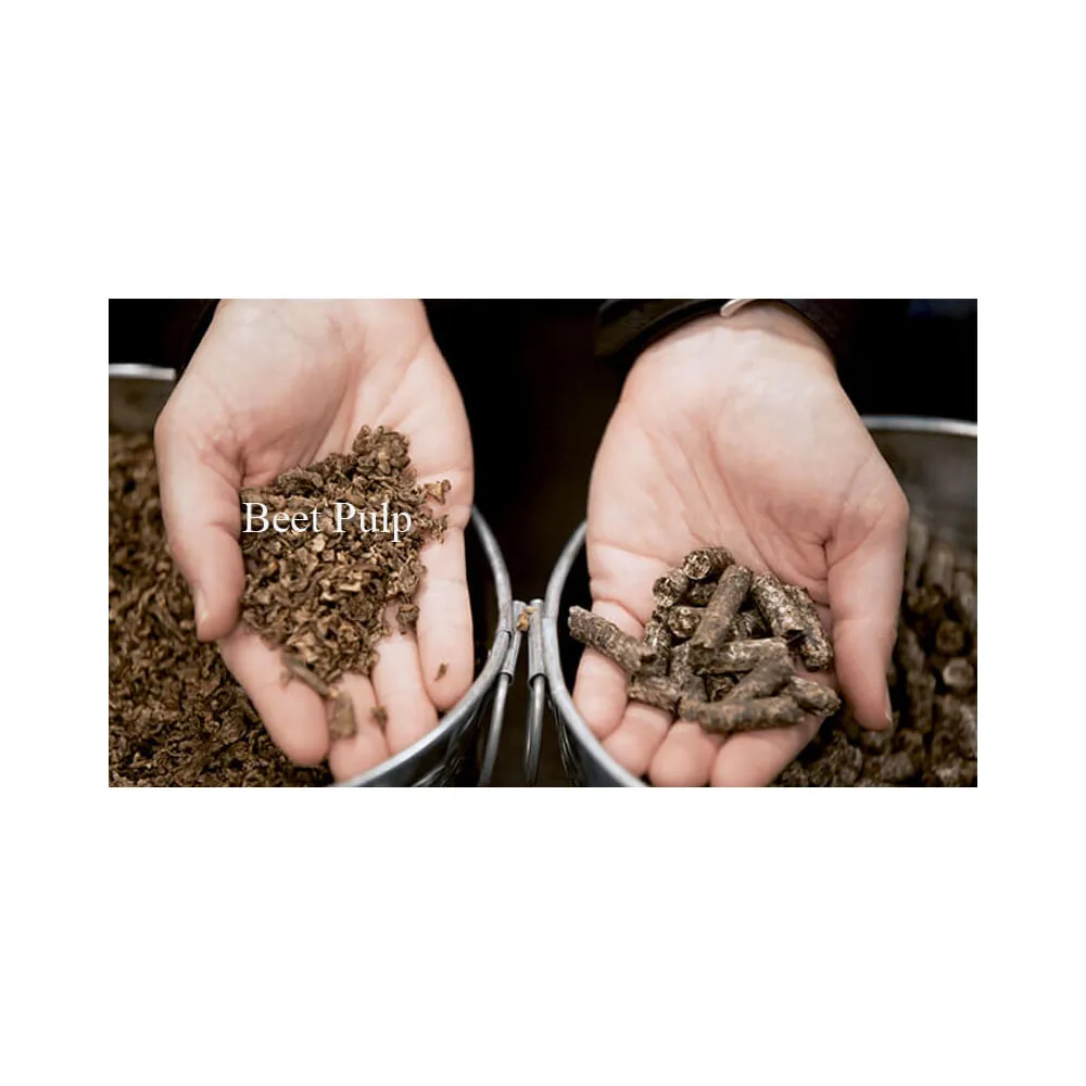 Продажа мякоти из свеклы пеллеты сахарной для корма животных/пеллеты целлюлозы