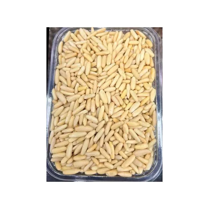 Organic Pine Nuts in Raw State Wholesome Food for Distributors and Organic Food Retailers