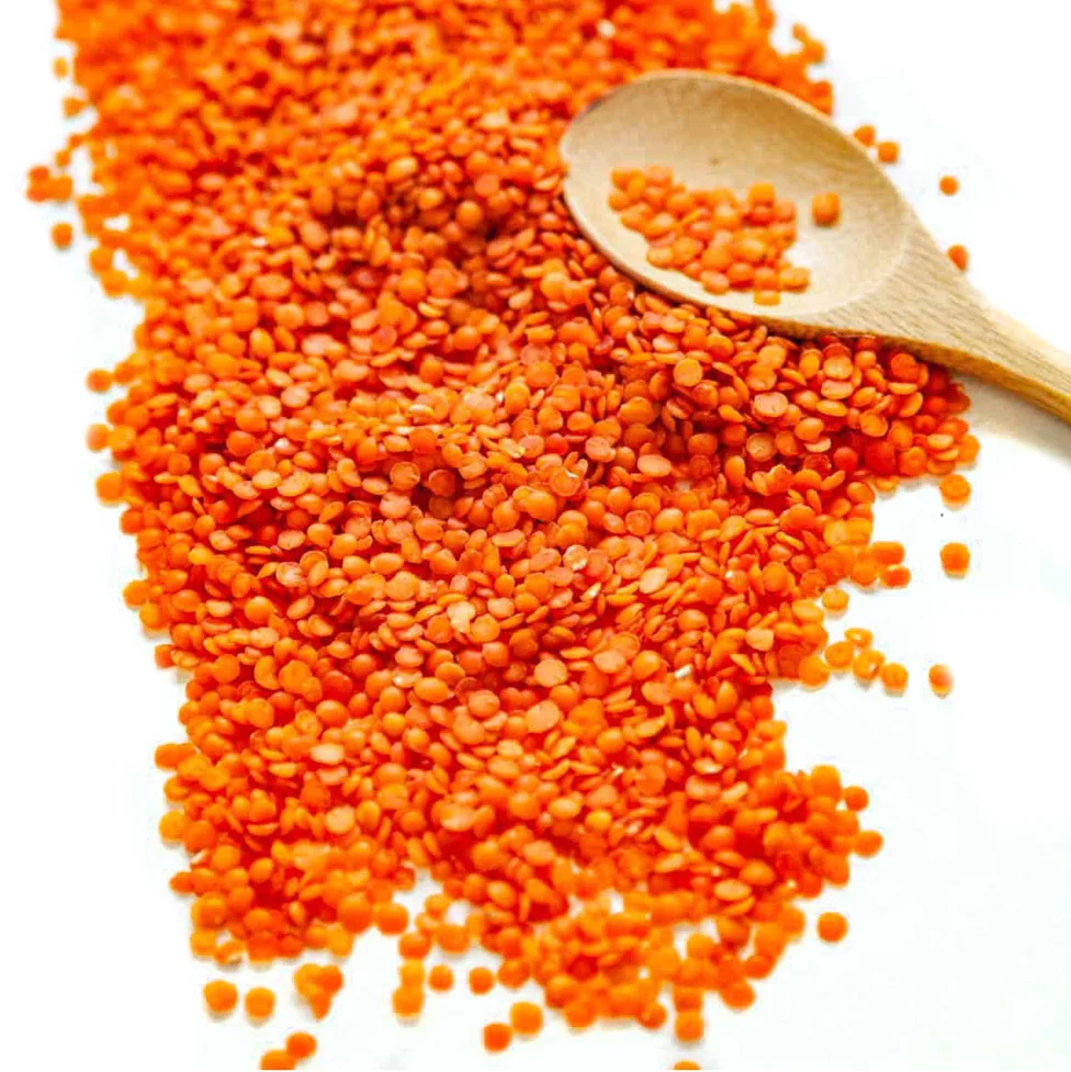 Best quality Red Lentils ecological product of Russia from manufacturer beans and seeds for sale