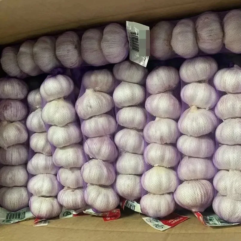 Wholesale Fresh Garlic Supplier | Red & White Garlic | Chinese Garlic Bulk