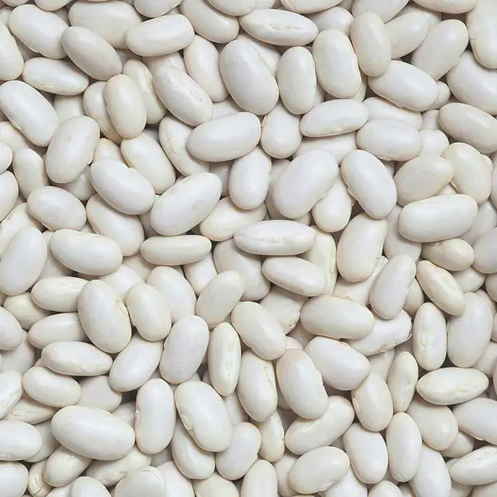 Top Sponsor Listingred Kidney Bean Red Kidney Beans 2022 Crop Dry Canned British white Beans