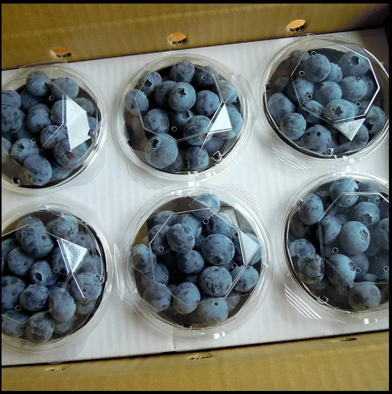 Fresh Blueberry from Japan