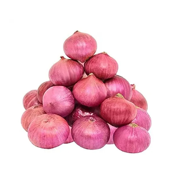 Best Offers Natural Grade Fresh Red Onion with Customized Size Packing For Food Making Uses By Exporters