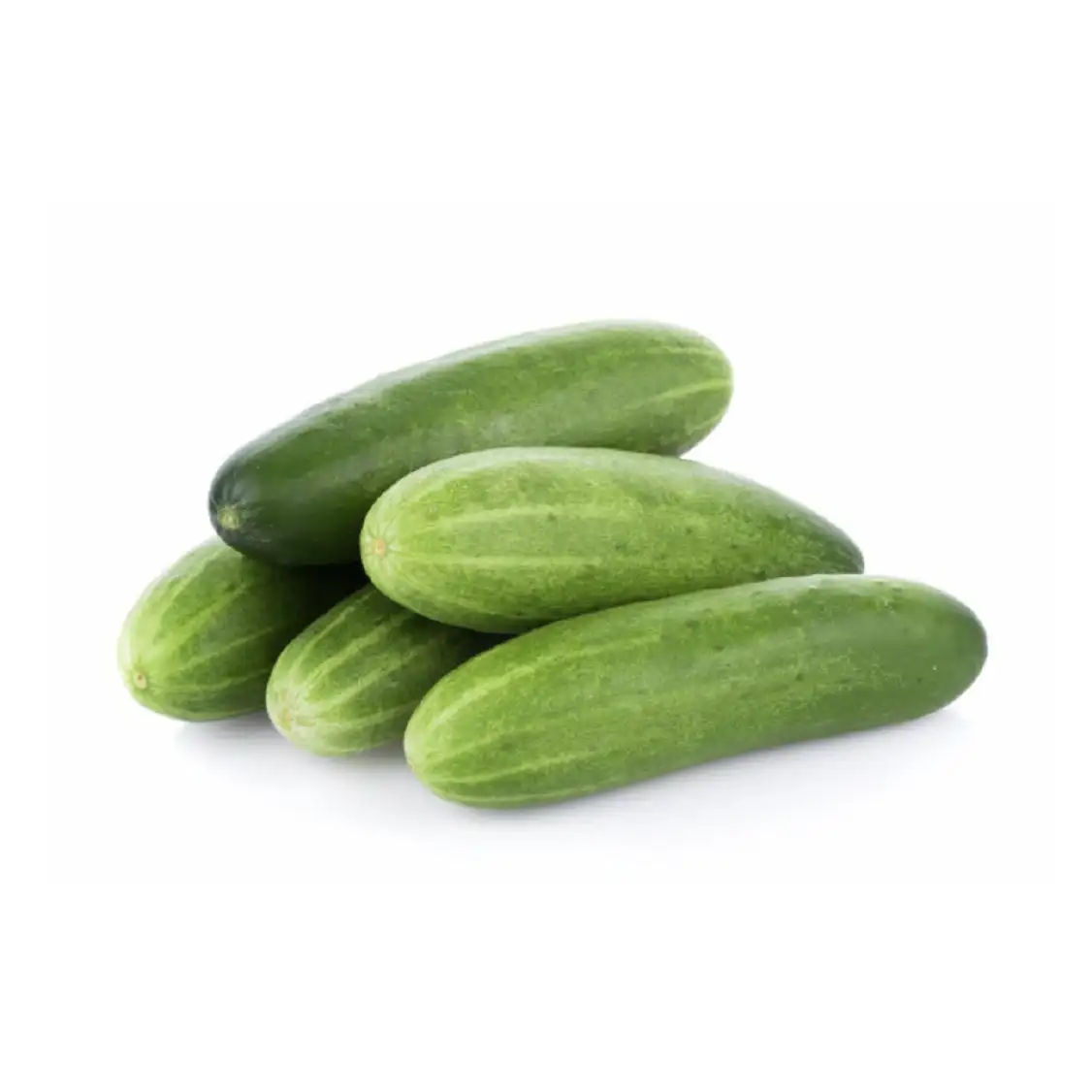 Fresh organic dried best quality cucumber