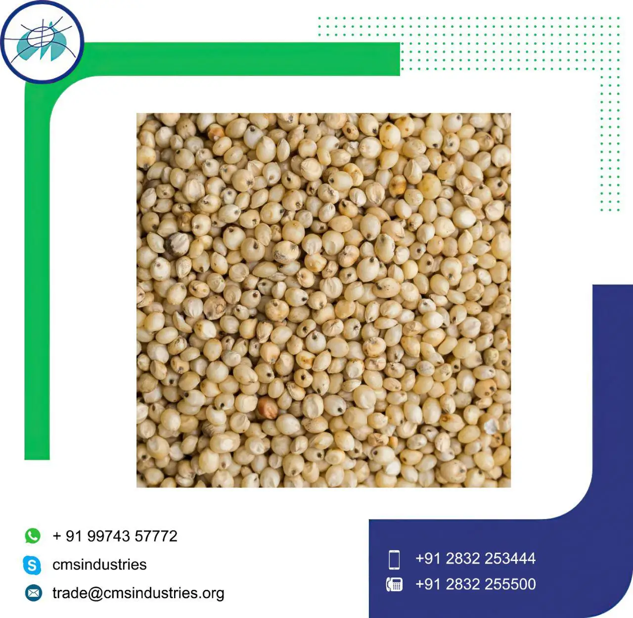 Good Supplier Lower Price Yellow or CH5 Sorghum