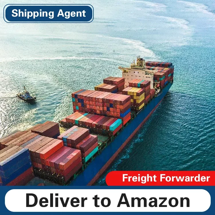 shenzhen To Angola Nigeria Ghana Kenya Senegal Cameroon ddp lcl cheap Sea Freight