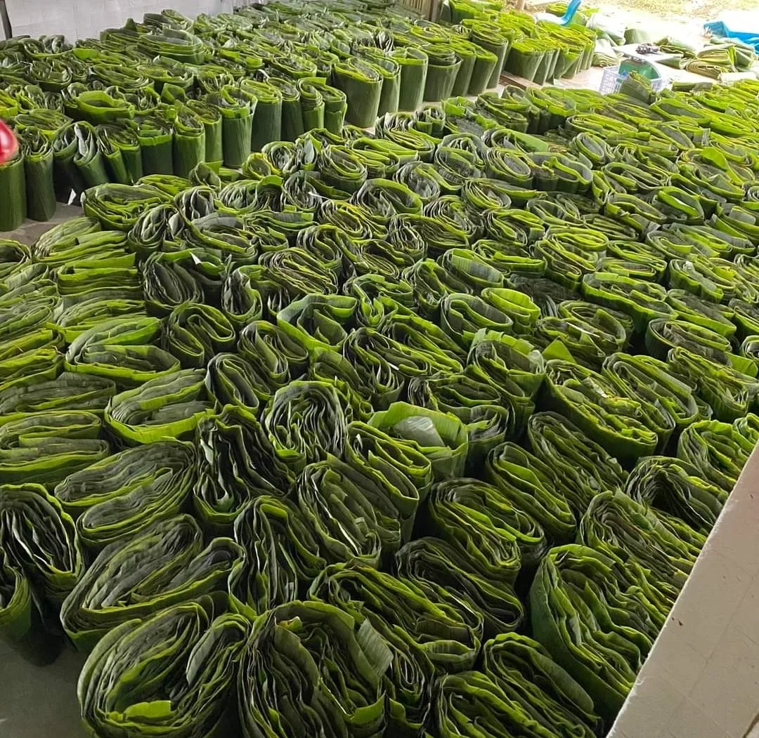 THE BEST PRICE - IQF FROZEN BANANA LEAVES BLANCHED ORIGIN VIETNAM READY TO EXPORT NEW PRODUCT 2023