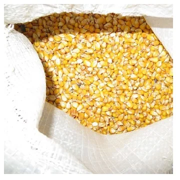 Bulk Dried Kernel Corn 14-15% Moisture Level