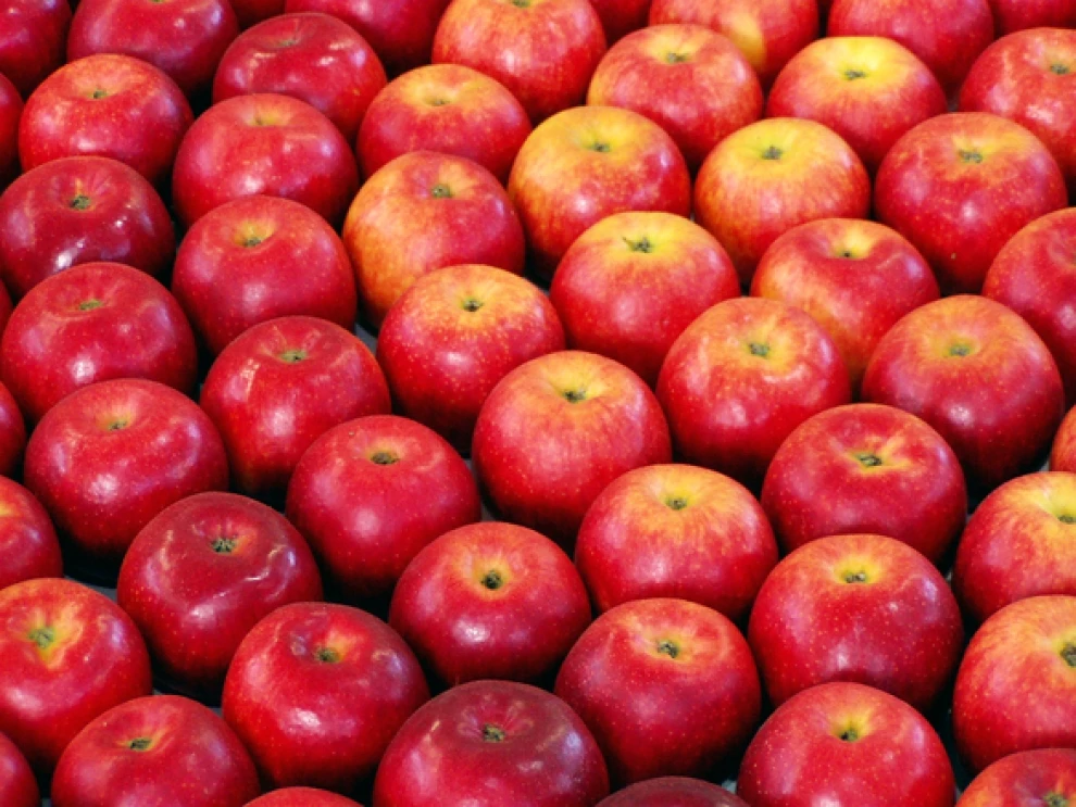 Buy/Order Fresh Red Delicious Apples, Direct Supply