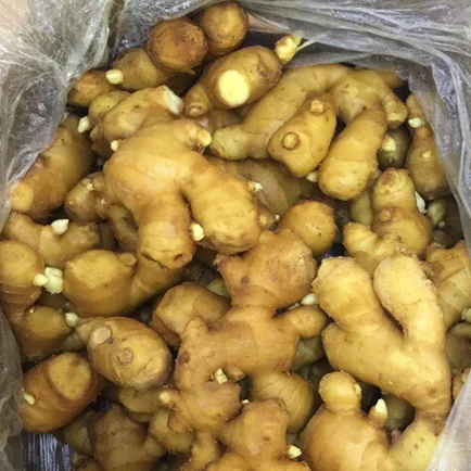 Factory price 2023 New Crop Fresh Ginger In Good Taste Supply Yellow Style Time Organic GAP Big Latest Weight Origin Vietnam