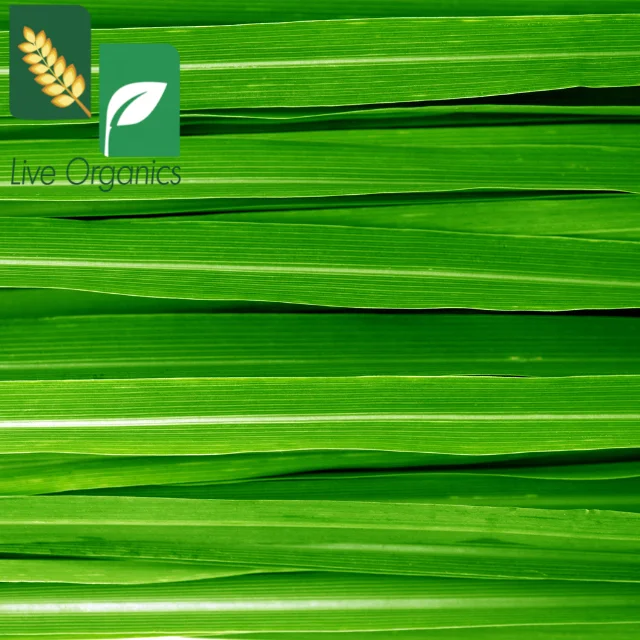 Lemon Grass Dried - Sun dried