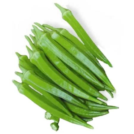 Premium grade Fresh Lady Finger Okra