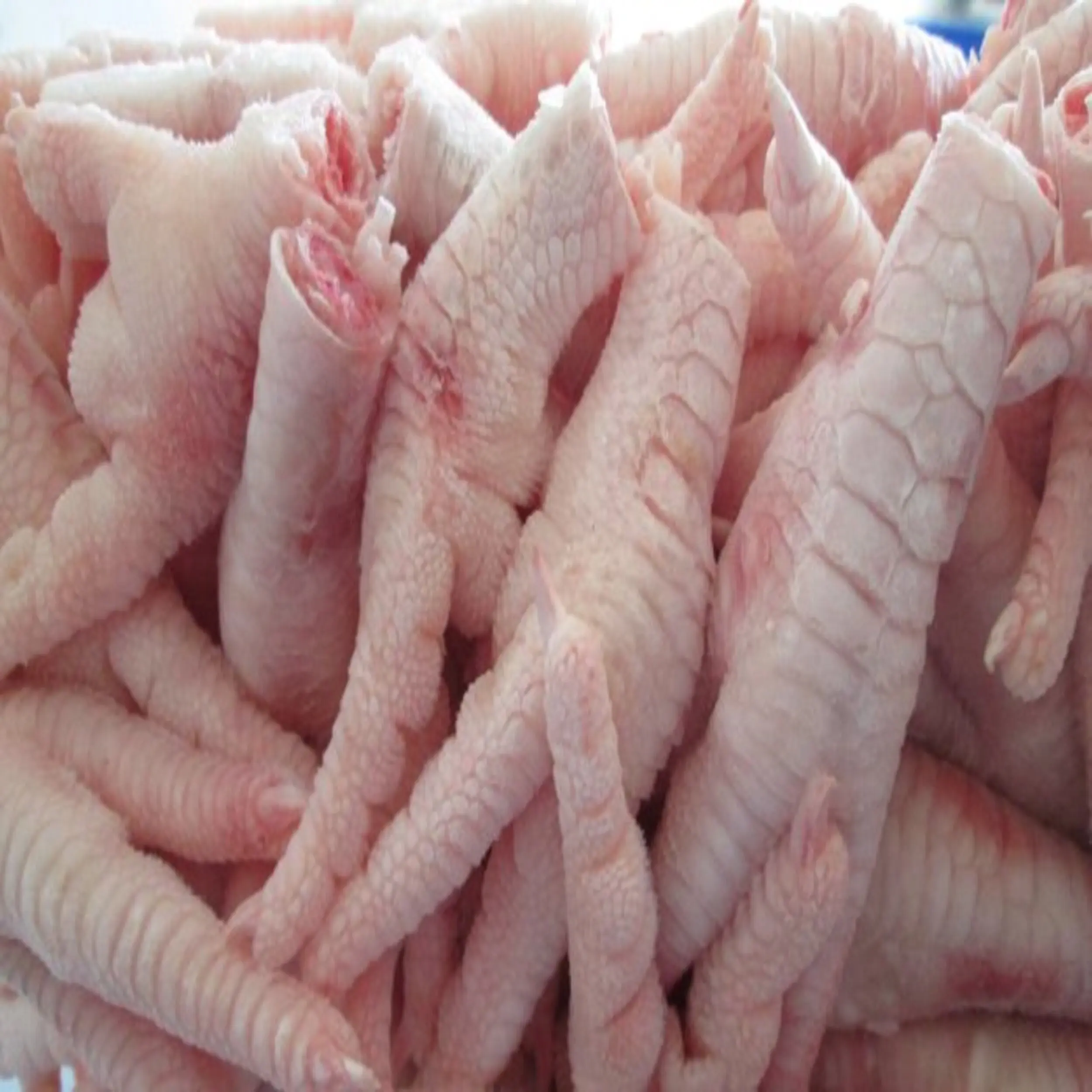 Premium Quality Halal Chicken Feet / Frozen Chicken Paws For Sale