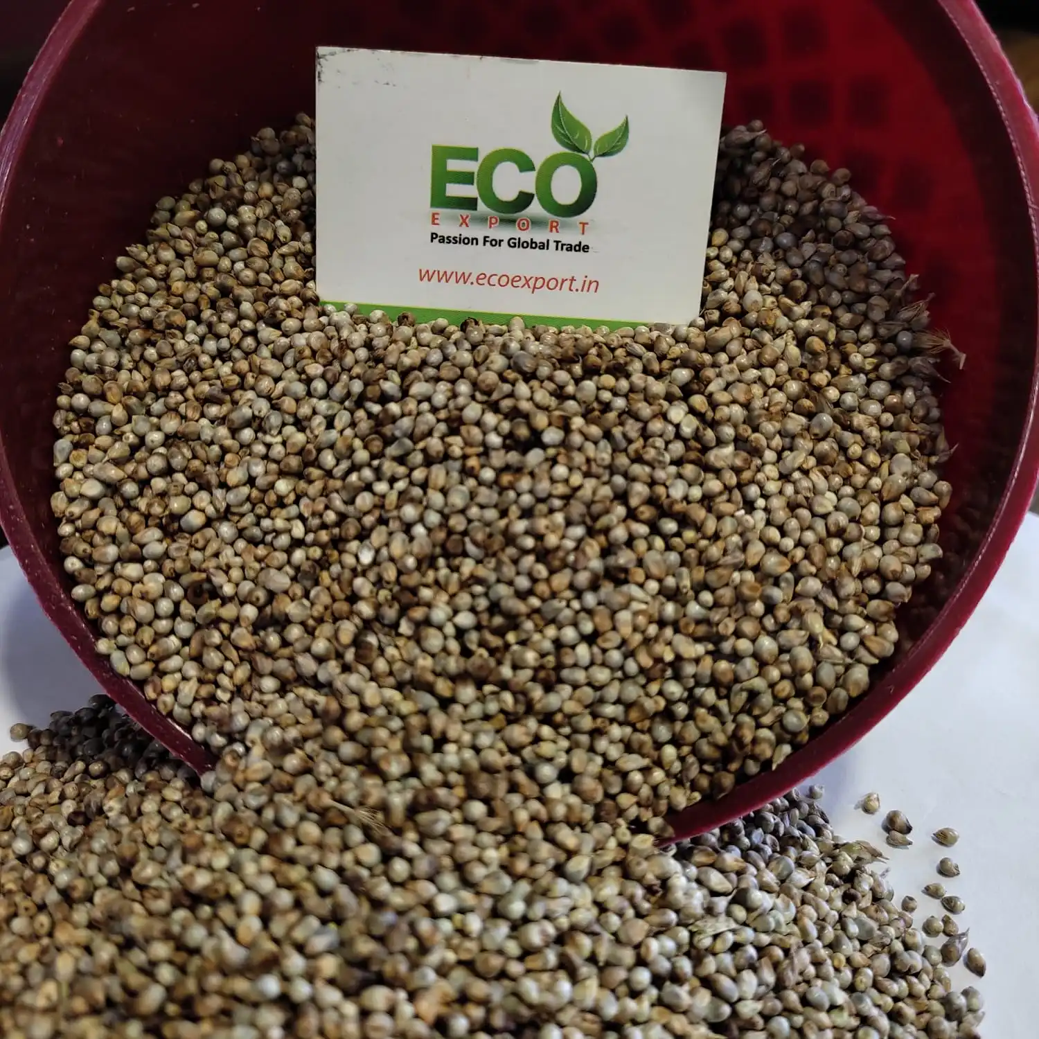 Green Millet In Bulk At Reasonable Rate