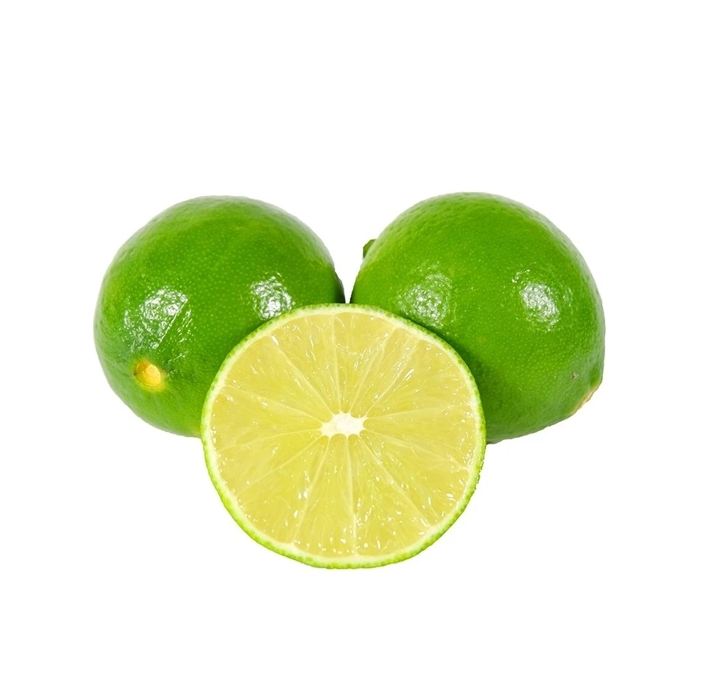 Hot Sale Vietnam Exporting Lime without seeds/seedless lime at factory price - Best lime for beverages