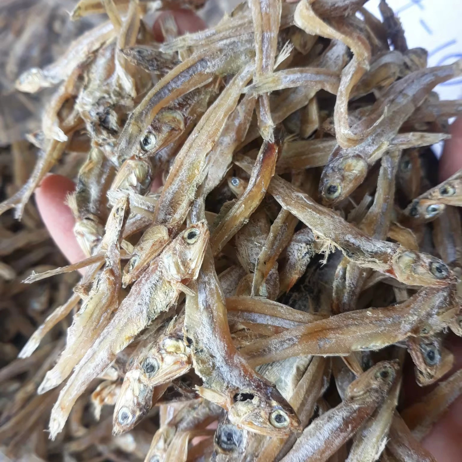 Dried Anchovy is the best product from Vietnam / PREMIUM QUALITY - BEST PRICE