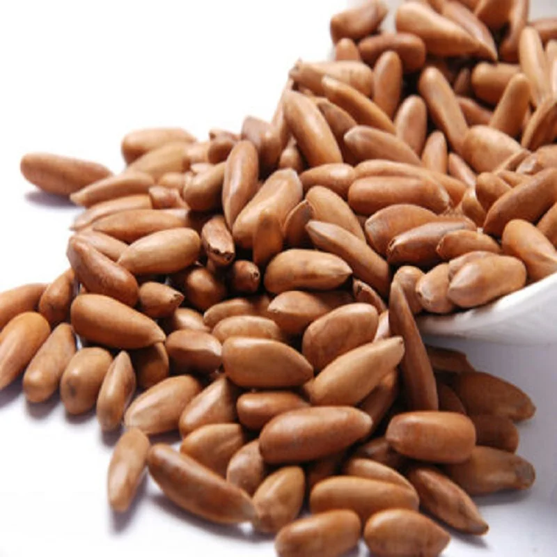 Factory Price Pine Nut Chilgoza Pine Nut Price Pakistan YELLOW Bag Item Packing Packaging Food Organic Color Snow Shelf Raw