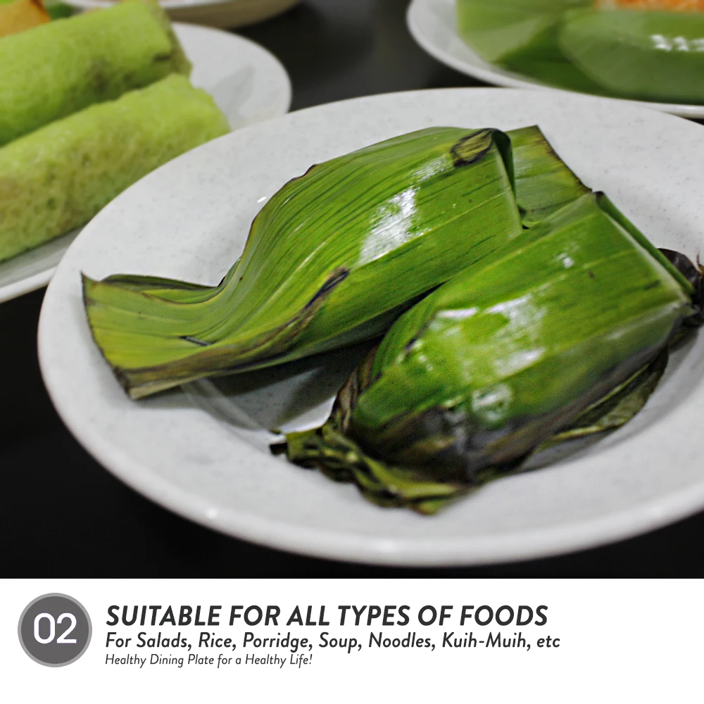 Elianware High Quality Plastic (PP) BPA Free Deep Plate Soup Plate Plastic Plate Manufacturer Malaysia Customize OEM