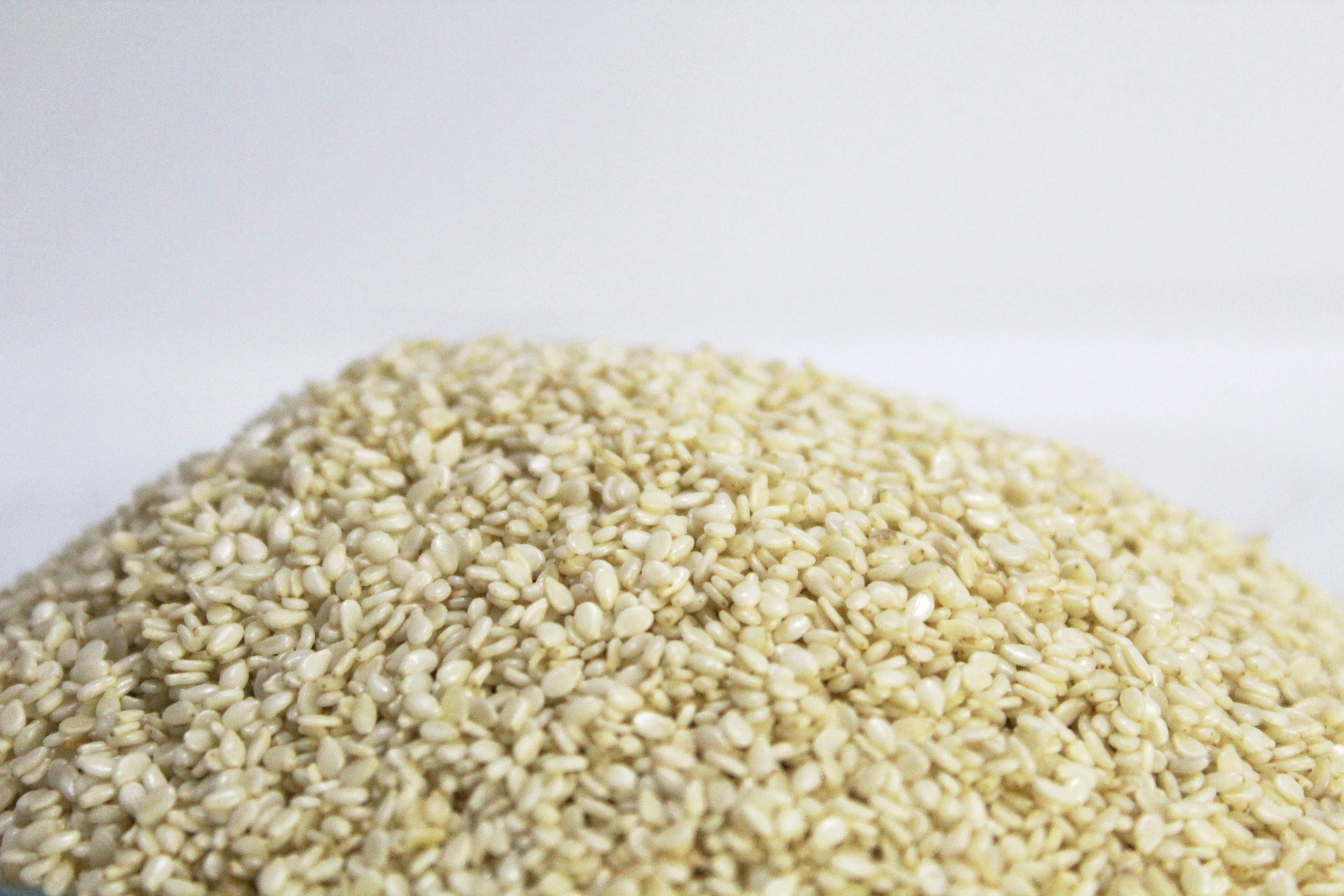Natural Good Taste White Sesame Seeds Roasted High Content Of Vegetable Fiber Wholesale by Foodies (PVT.) Limited