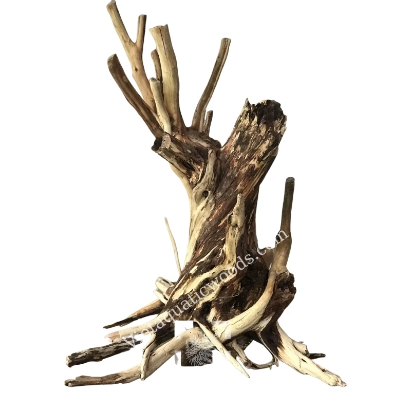 Natural Aquarium Wood Driftwood for Fish Tank Decoration WhatsApp +84 963 949 178