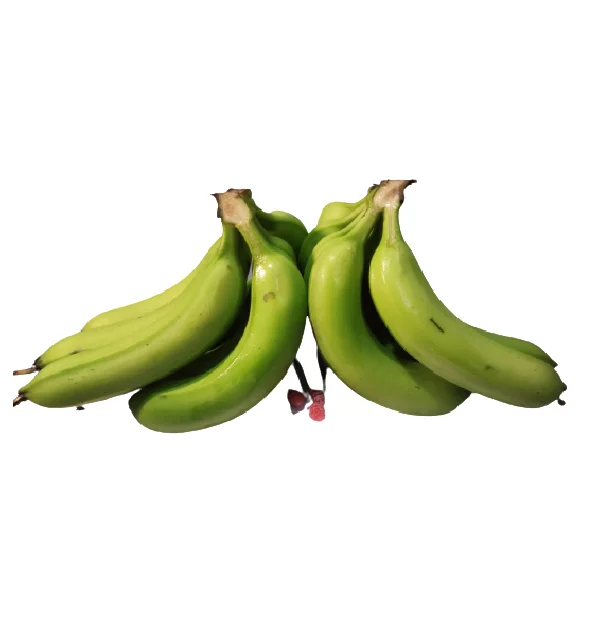 Best Sale Hot Supplier Wholesaler From Vietnam Grade B789 Cavendish Banana Cheap Price Low MOQ Fresh Fruit Healthy Nutrition