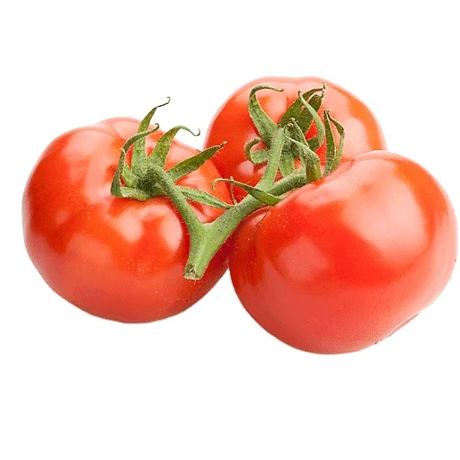 Wholesale fresh tomatoes from netherlands online