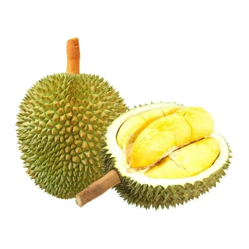 Fresh RI6 Durian From VietNam Best Fresh Fruit Best Tropical Fruits For Your Choice From Viet Nam