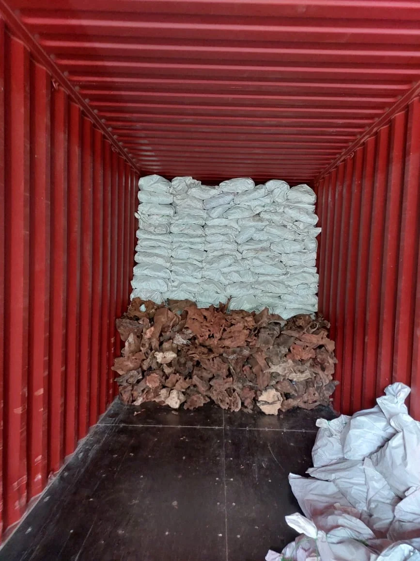 Unique Top Selling Natural Liane Wood Bird Cage Bird Reptiles Aquariums & Accessories Pet Home Pet Products Wooden Furniture