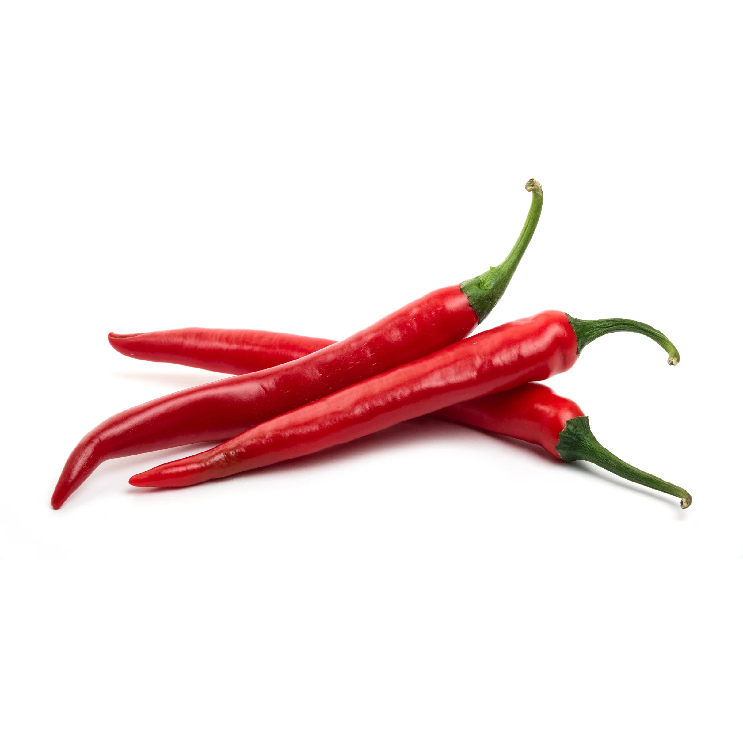 Top Selling Natural Dried Red Chilli Food Grade Hot Spicy Single Spices Whole Red Chilli Buy From Indian Manufacturer