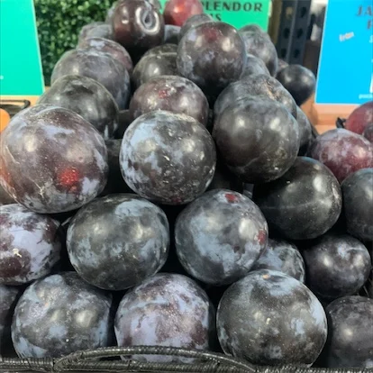 Wholesale Best Seller Fresh Plum Premium Fresh Plum Fruit in best price for Sale