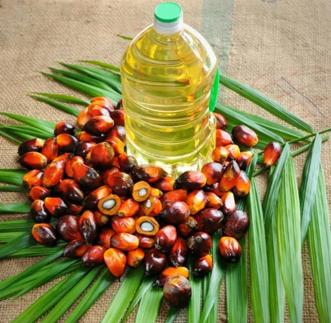 Canadian cheap price refined RBD palm oil for cooking