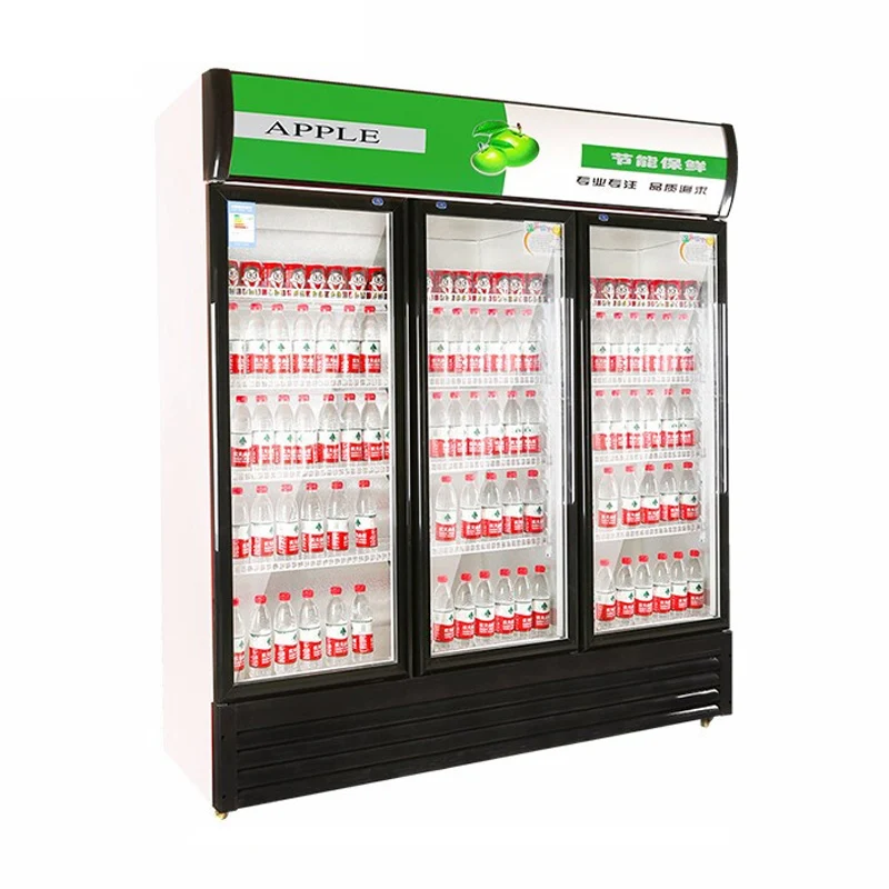 Commercial Service Equipment Beer Standing Display Freezer Single/Double Glass Doors Beverage Chiller Showcase