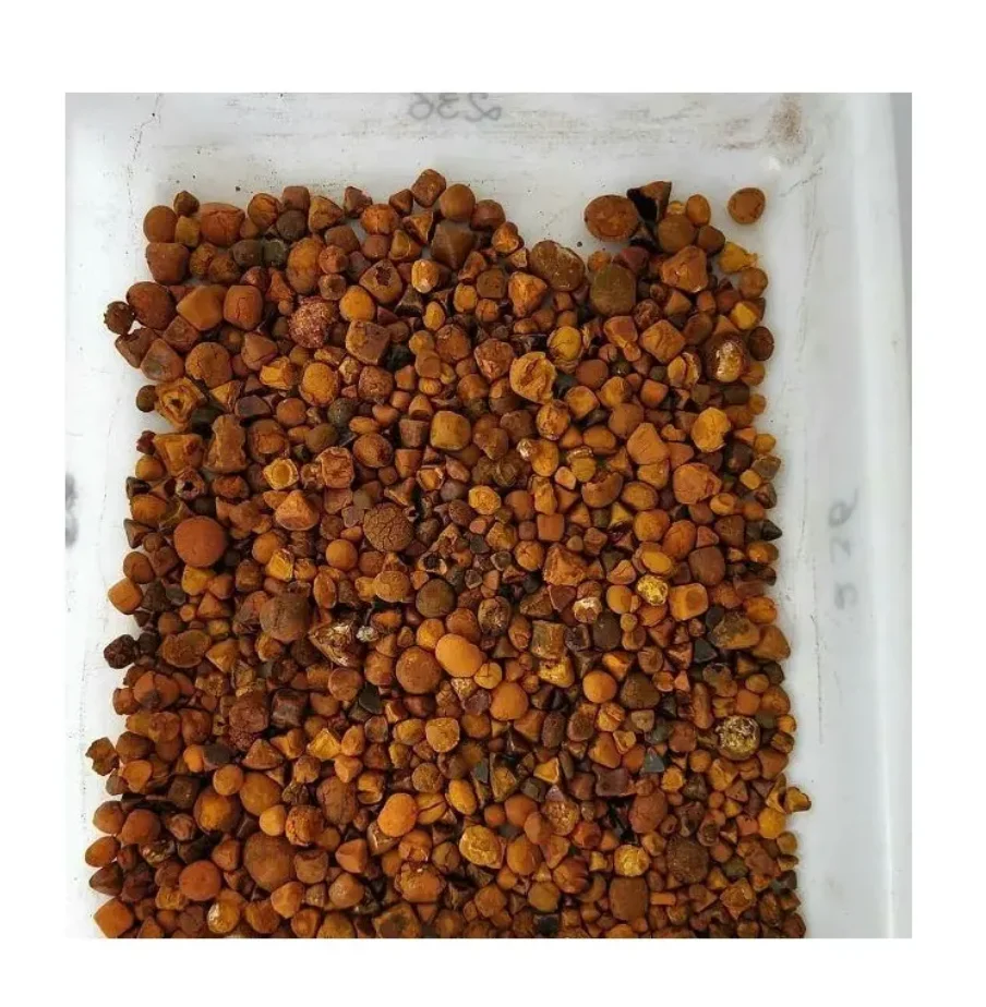 Premium Quality Ox Gallstones Sourced from Cattle Top-Grade Cow Gallstones for Traditional Medicine