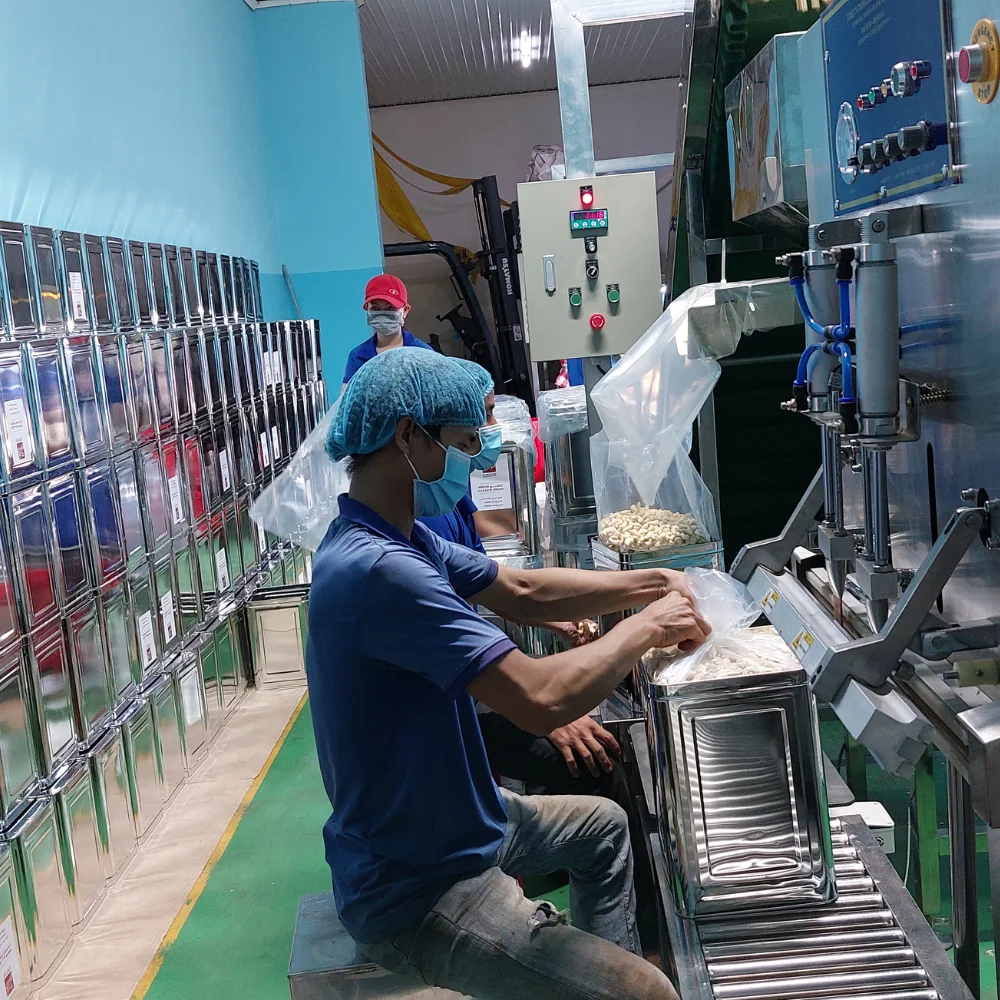 Cashew Nuts South Africa Cashew Nuts W320 Raw Cashew Nuts From Kenya Private Label Packaging Available Whatsapp +84931697868