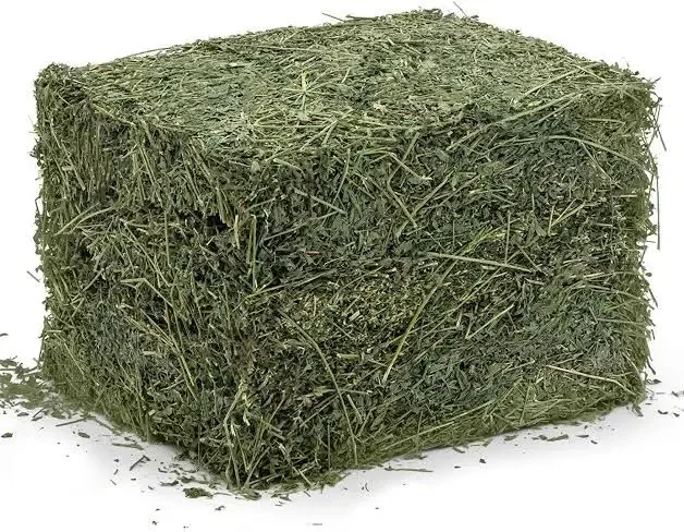 Complete Good Quality Animal Feeding Stuff Alfalfa, hay/alfalfa hay pellets Timothy Hay/ Alfafa Hay